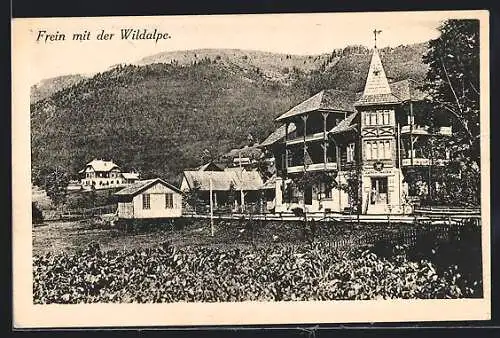 AK Frein an der Mürz, Blick auf Häuser mit der Wildalpe