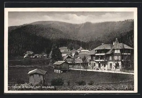 AK Frein a. Mürz, Ortsansicht mit Wildalpe