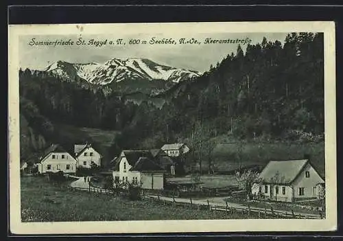 AK St. Aegyd a. N., Häuser an der Keeramtsstrasse