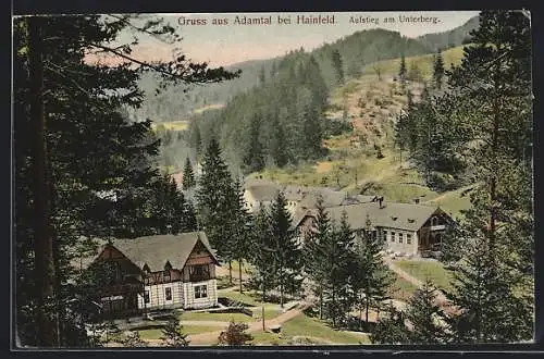 AK Ramsau /N.-Öst., Adamstal, Aufstieg am Unterberg