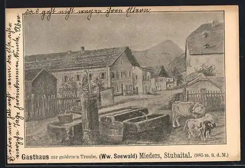 AK Mieders /Stubaital, Gasthaus zur goldenen Traube