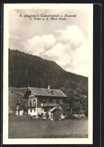 AK Frein an der Mürz, Gastwirtschaft K. Diegruber am Neuwald