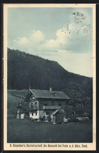 AK Frein an der Mürz, K. Diegruber`s Gasthaus am Neuwald