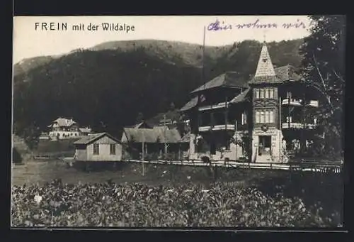 AK Frein /Mürz, Ortsansicht mit der Wildalpe