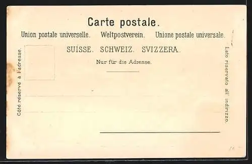 Lithographie Luzern, Blick vom See auf die Stadt, Löwendenkmal