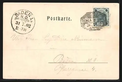 AK Toblach, Ortsansicht aus der Vogelschau