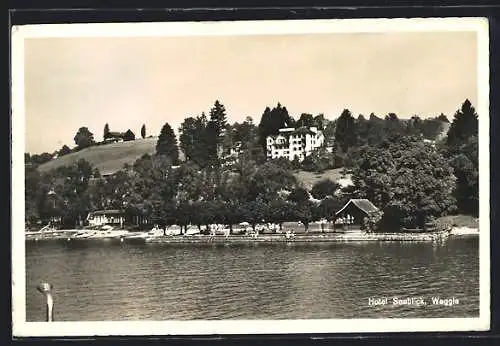 AK Weggis, Hotel Seeblick vom See aus gesehen