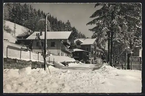 AK Beatenberg, Tea-Room Häsler und Hotel Edelweiss im Winter