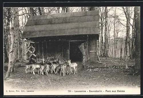 AK Lausanne, Sauvabelin, Parc aux Daims