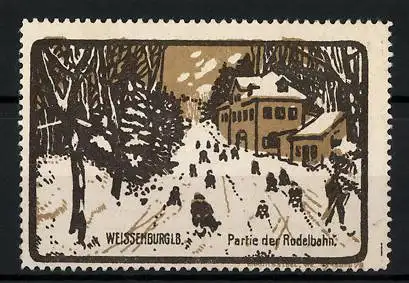 Reklamemarke Weissenburg i. B., Partie der Rodelbahn