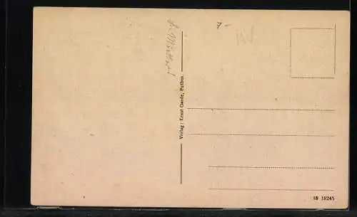 AK Putbus a. Rügen, Schloss, Vorderseite