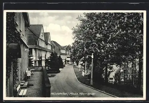 AK Gottleuba, Heilstätte, Männerhäuser