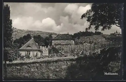 AK Hoflössnitz, Ortsansicht mit Gärtnerei