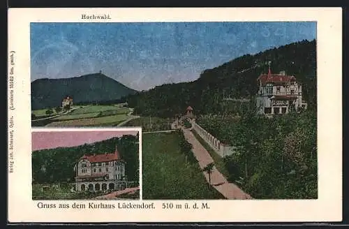 AK Lückendorf, Weg zum Kurhaus Lückendorf mit Hochwald