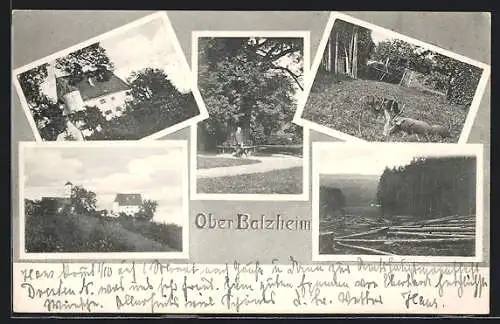 AK Ober-Balzheim, Schloss, Esel auf der Wiese, Baum