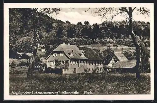 AK Albersweiler /Rhpfalz, Vogelstocker Lebenserneuerung