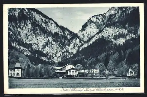 AK Reichenau, Ortspartie mit Hotel Thalhof