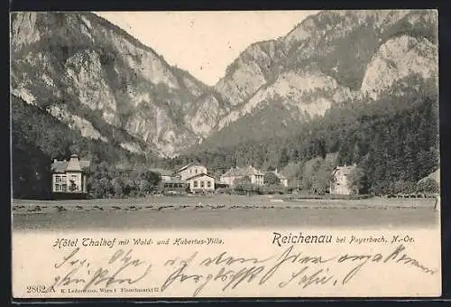 AK Reichenau, Hotel Thalhof mit Wald- und Hubertus-Villa
