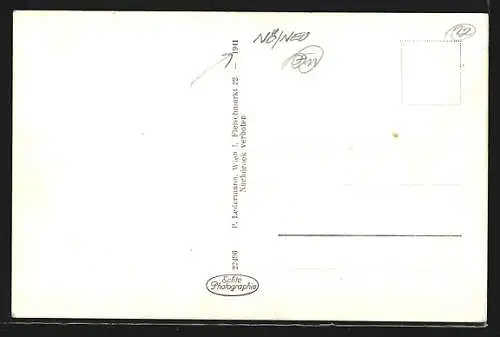 AK Reichenau, Kurpark mit Kurhaus