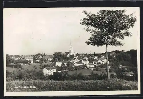 AK Bad Hall, Panorama