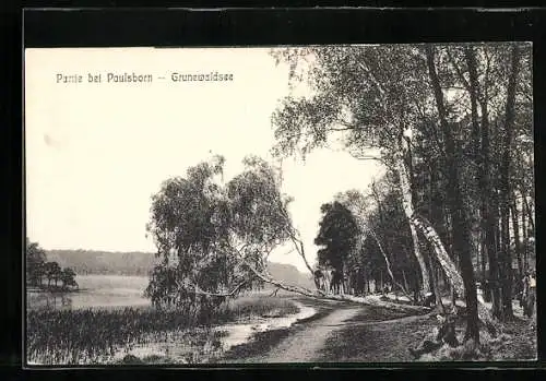 AK Berlin-Grunewald, Partie bei Paulsborn, Grunewaldsee