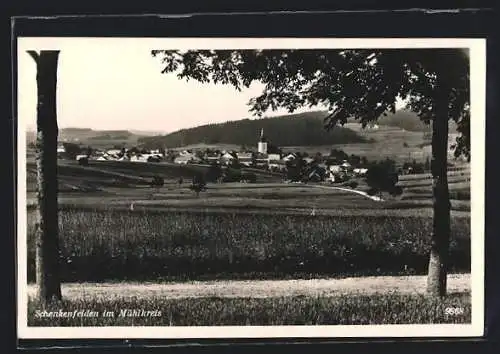 AK Schenkenfelden im Mühlkreis, Panorama