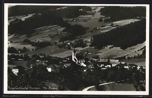AK Peilstein / Ob.-Donau, Panorama