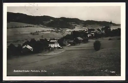 AK Peilstein, Ortsansicht aus der Vogelschau