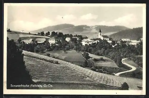 AK Peilstein, Ortsansicht aus der Vogelschau