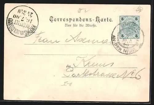 AK Bruck a. Mur, Ortsansicht