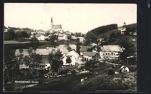 AK Reichenau, Gesamtansicht