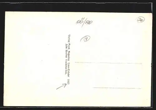 AK Hofkirchen im Mühlkreis, Panorama