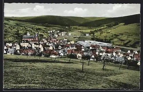 AK Frammersbach /Spessart, Gesamtansicht