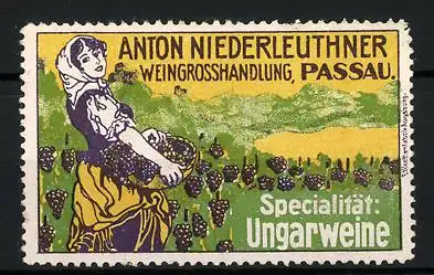 Reklamemarke Passau, Weingrosshandlung Anton Niederleuthner, Specialität: Ungarweine, Winzerin bei der Weinlese