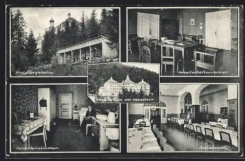 AK Deggendorf / bayr. Wald, Sanatorium am Hausstein, Aussen- und Innenansichten