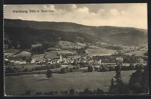 AK Wartberg, Panorama aus der Vogelschau