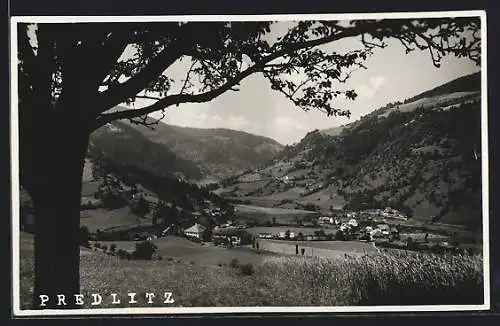 AK Predlitz, Totalansicht von einem Berg aus