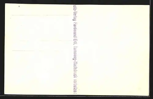 AK Predlitz, Totalansicht von einem Berg aus