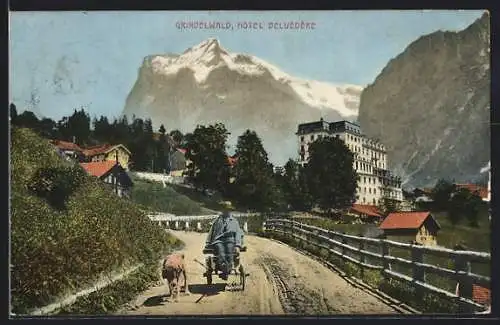 AK Grindelwald, Hotel Belvedere
