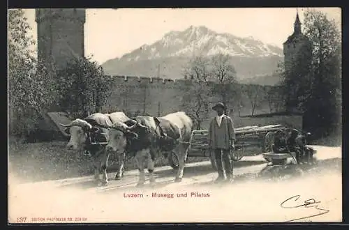 AK Luzern, Musegg mit Pilatus und einem Bauern mit Ochsengespann