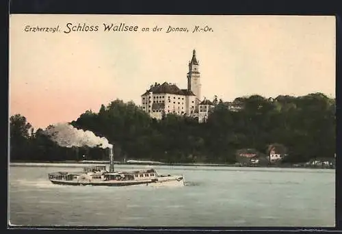 AK Wallsee a. d. Donau, Blick zum Erzherzogl. Schloss