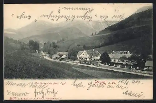 AK Prein, Ortsansicht mit Gasthaus zum obern Eggl und Raxalpe, Alpenkette