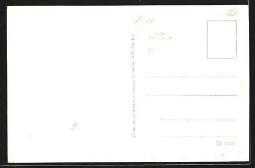 AK Randegg, Strassenpartie mit Geschäften