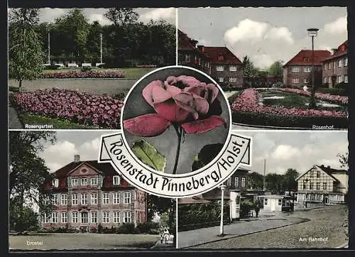 AK Pinneberg /Holstein, Rosengarten, Drostel, Rosenhof, am Bahnhof