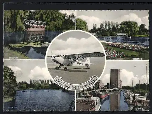 AK Uetersen /Holstein, Hafen und drei Ansichten aus dem Rosarium, Flugzeug