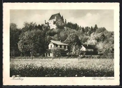 AK Mindelheim, Blick auf die Mindelburg