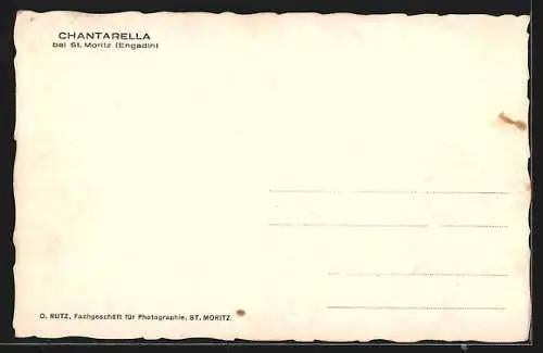 AK St. Moritz / Engadin, Hotel Charantella im Winter