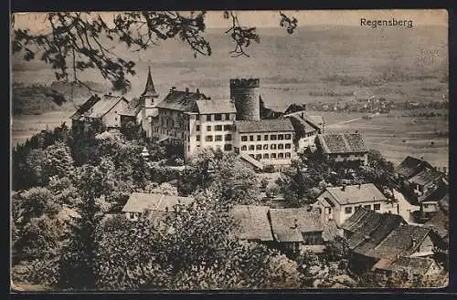 AK Regensberg, Ortsansicht mit Schloss