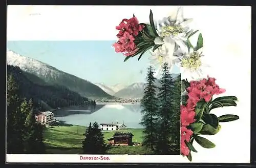 AK Davos, Häusergruppe am Davoser-See