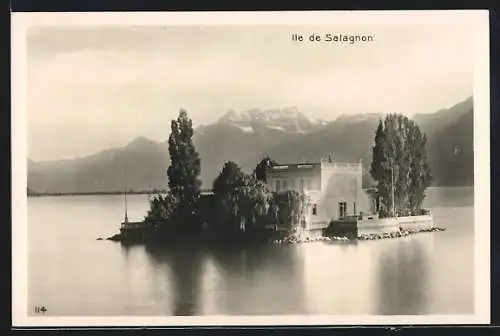 AK Clarens, Ile de Salagnon, vue sur les Alpes